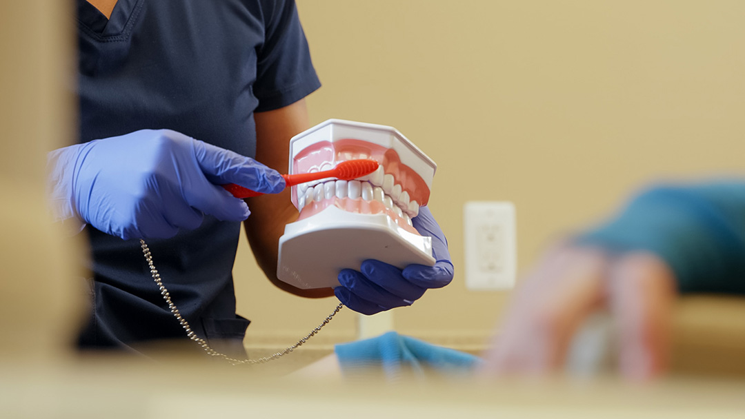 Root Canal Procedure Southgate Mi Dentists